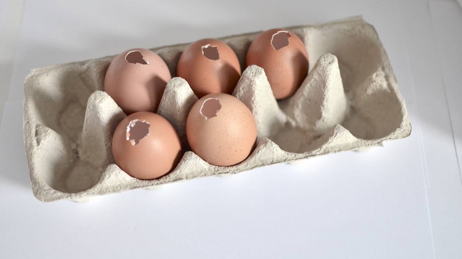Vyfouknutá vejce