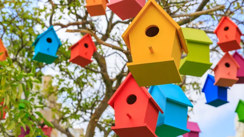 Barevné ptačí budky
