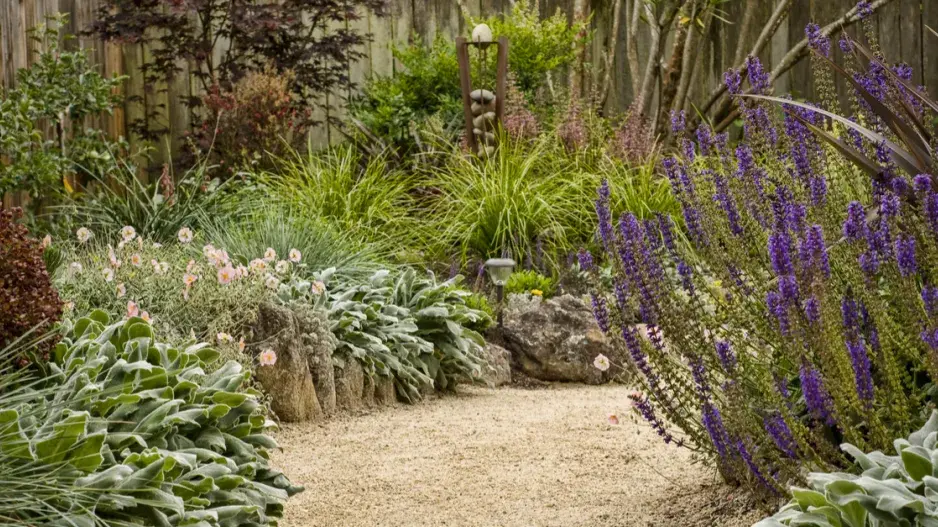 Opakování barev v malé zahradě