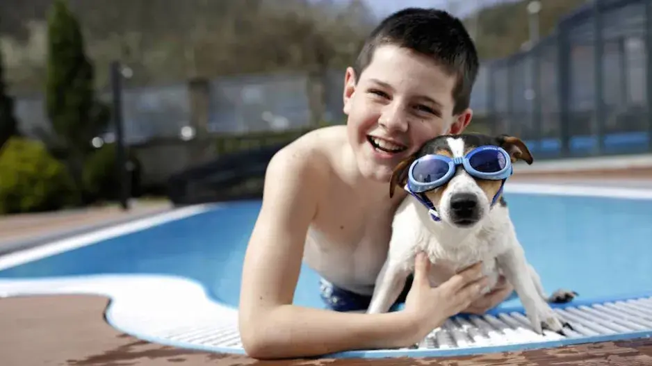 Pes v bazénu