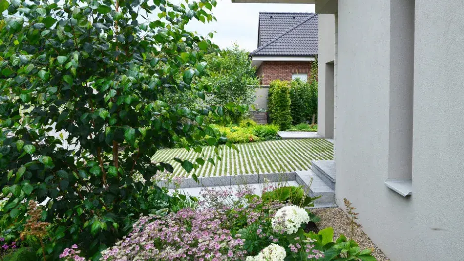 Vstupní část zahrady Vstupní část zahrady