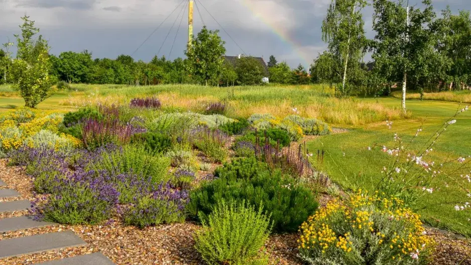 Suchomilné trvalky ve štěrkovém záhonu Suchomilné trvalky ve štěrkovém záhonu