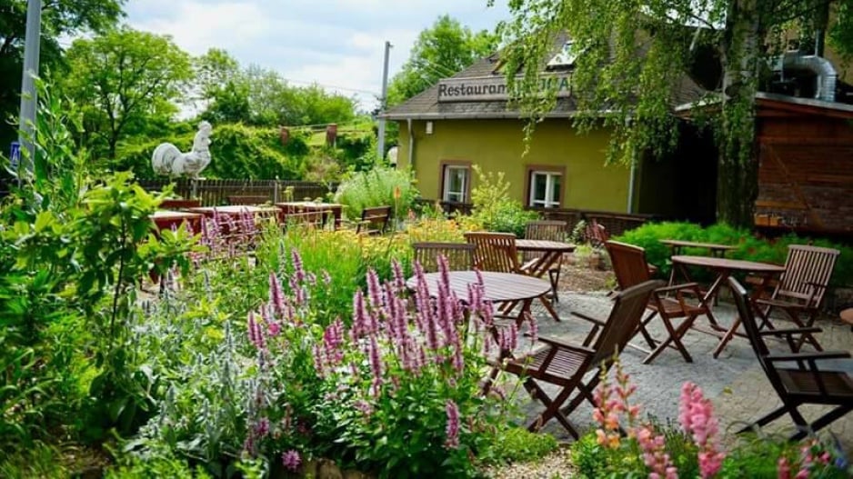 Zahrada srbské restaurace Jelica