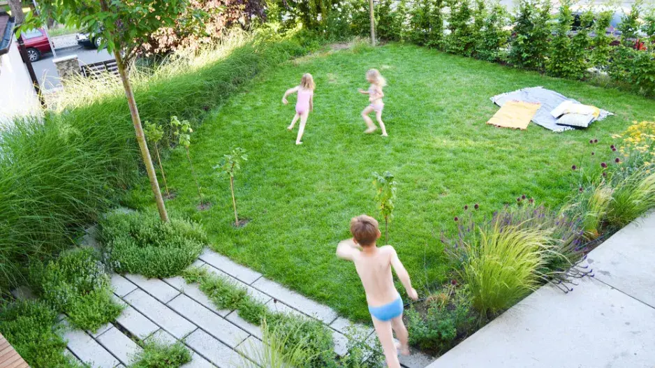 Pohledové clony Pohledové clony