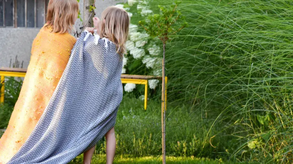 Třešeň nad lavičkou Třešeň nad lavičkou