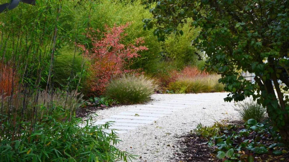 Cesta v předzahrádce Cesta v předzahrádce