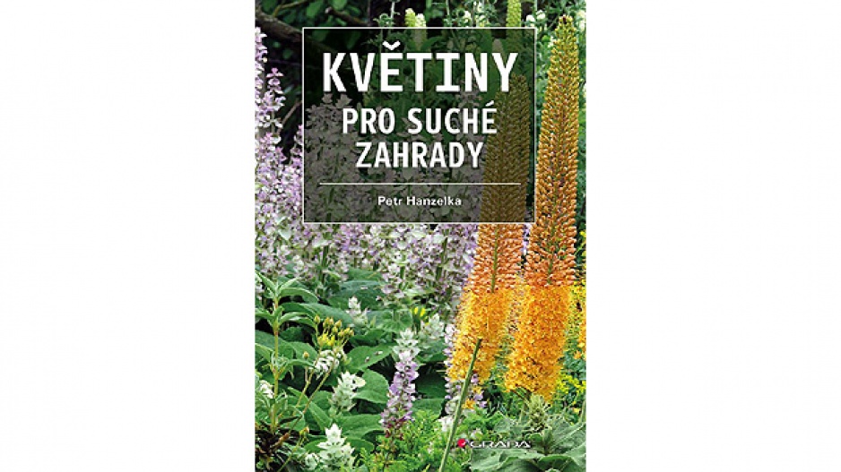 Květiny pro suché zahrady