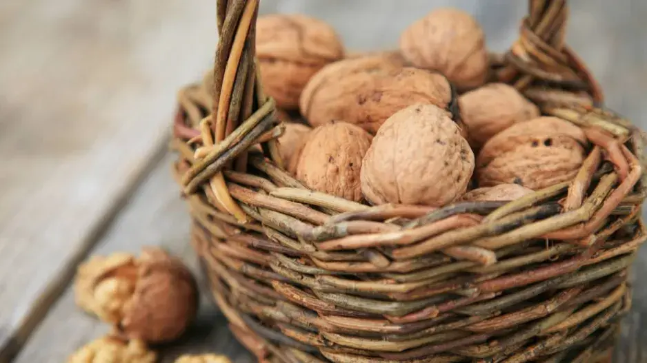 Vlašské ořechy v košíku