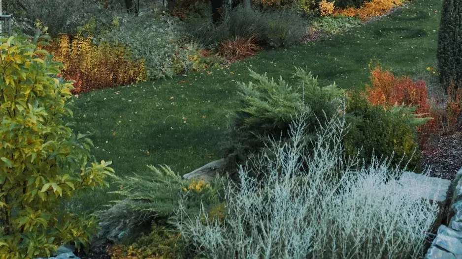 Podzimní výsadba Podzimní výsadba