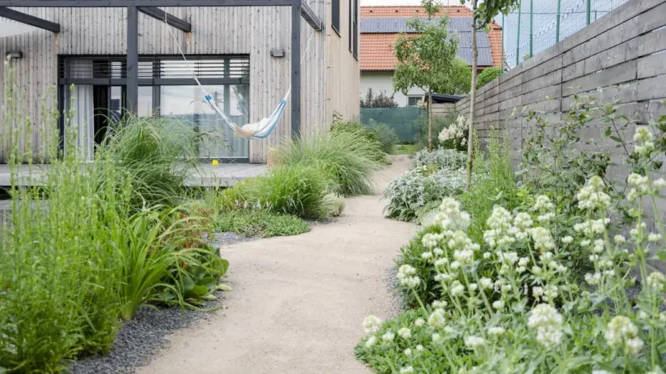 Cesta mezi záhony Cesta mezi záhony