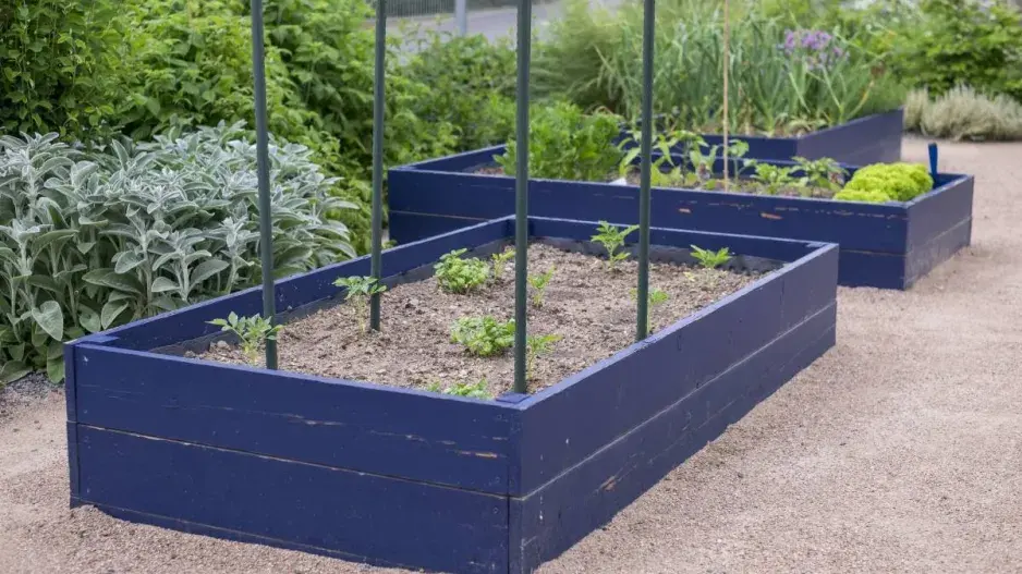 Vyvýšené záhony Vyvýšené záhony