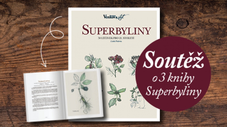 Kniha Superbyliny