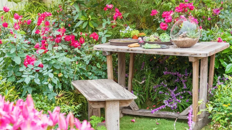 Zákoutí s růžemi