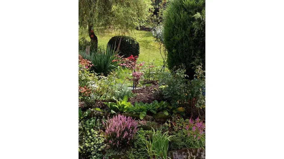 Podzimní výsadba Podzimní výsadba