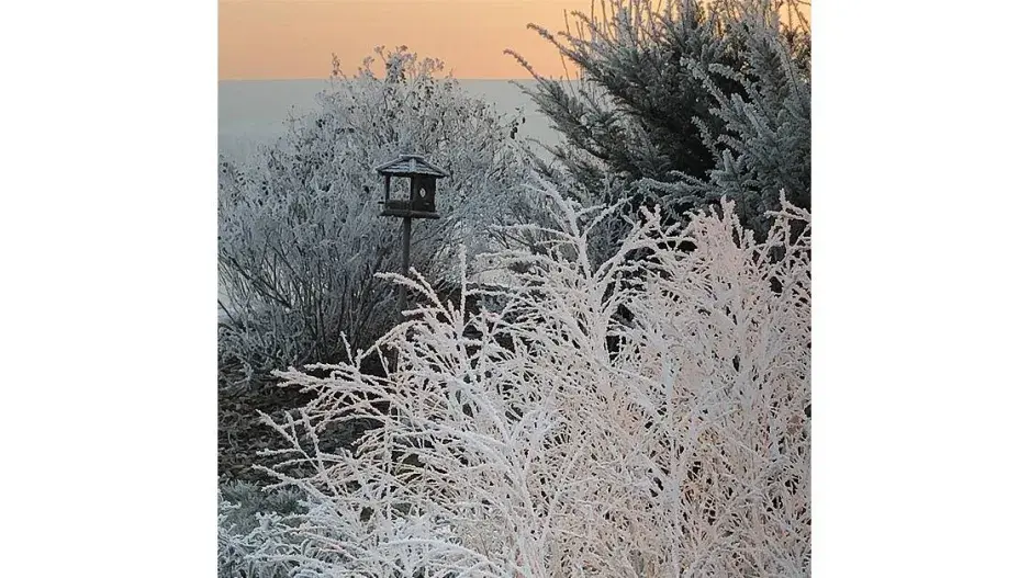 Krmítko v zahradě Krmítko v zahradě