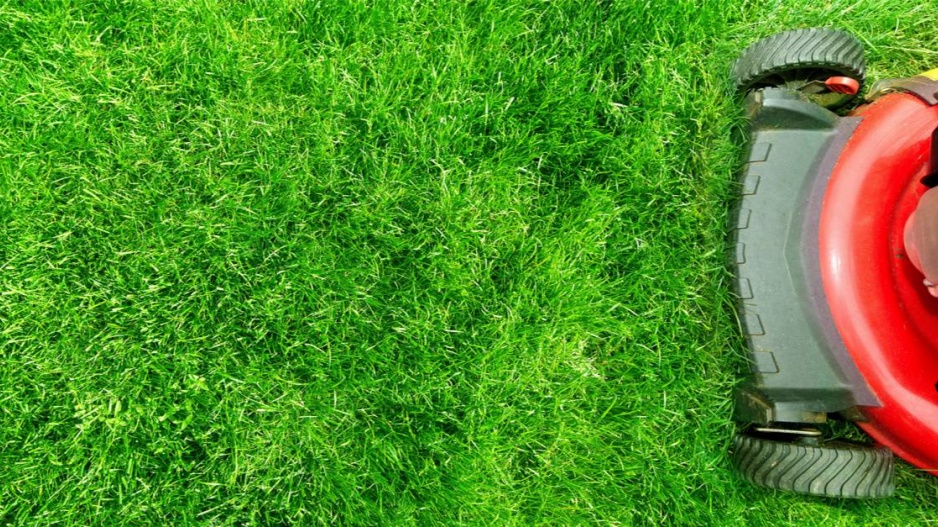 Sekačka na trávníku
