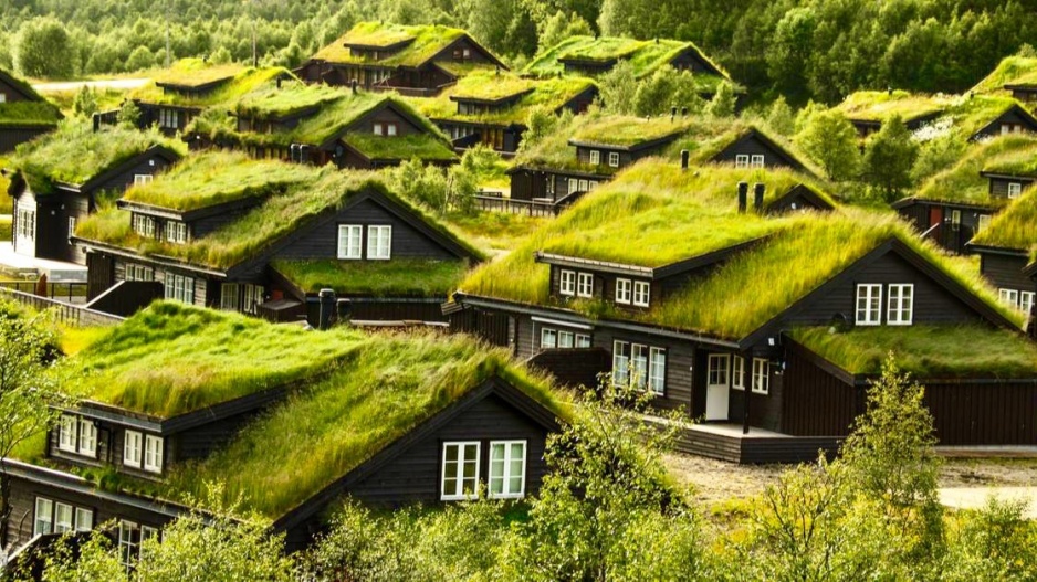 Zelené střechy v Norsku