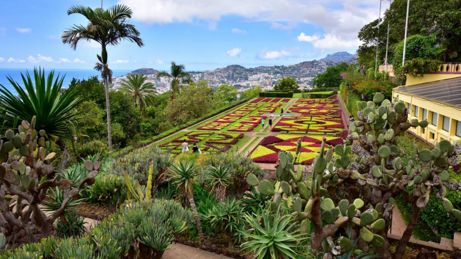 Jardim botânico da Madeira