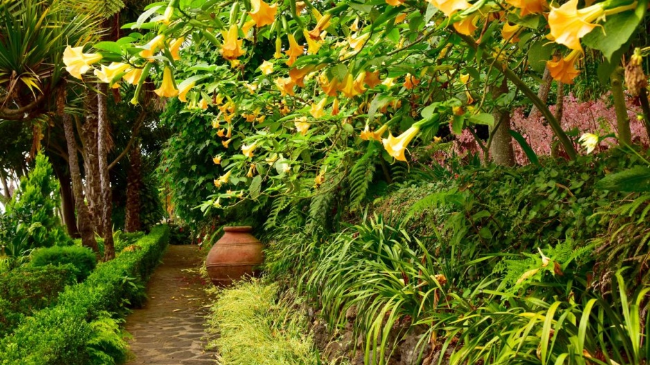 Monte Palace Tropical Garden