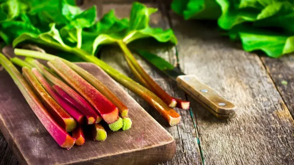 Řapíky reveně Řapíky reveně