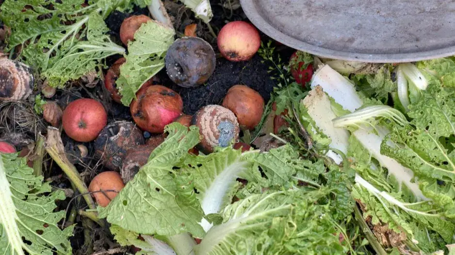 Organický odpad ke zkompostování Organický odpad ke zkompostování