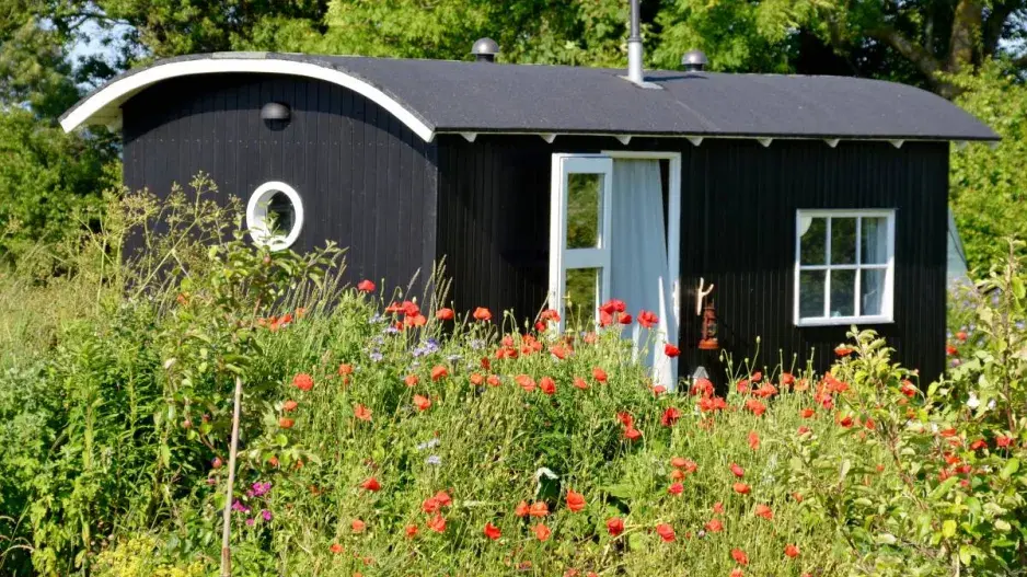 Maringotka na zahradě