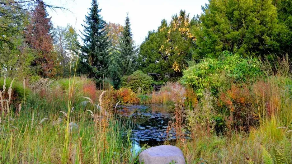 Zahradní jezírko Zahradní jezírko