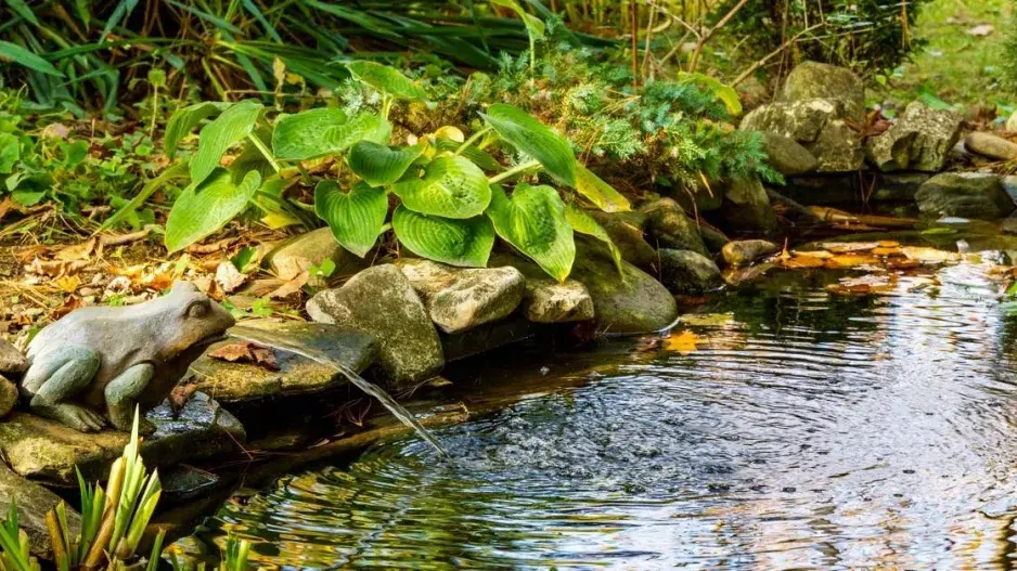 Vodní chrlič Vodní chrlič