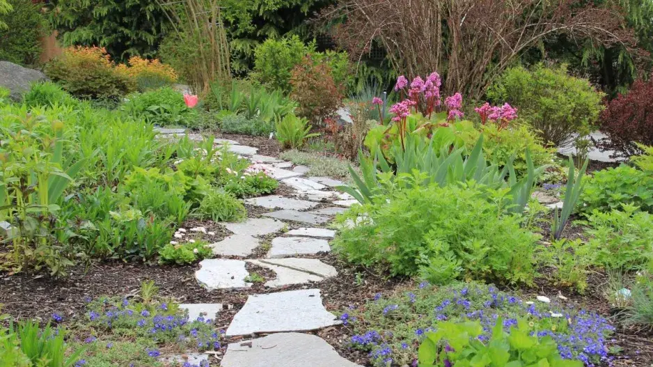 Cesta jarním trvalkovým záhonem Cesta jarním trvalkovým záhonem