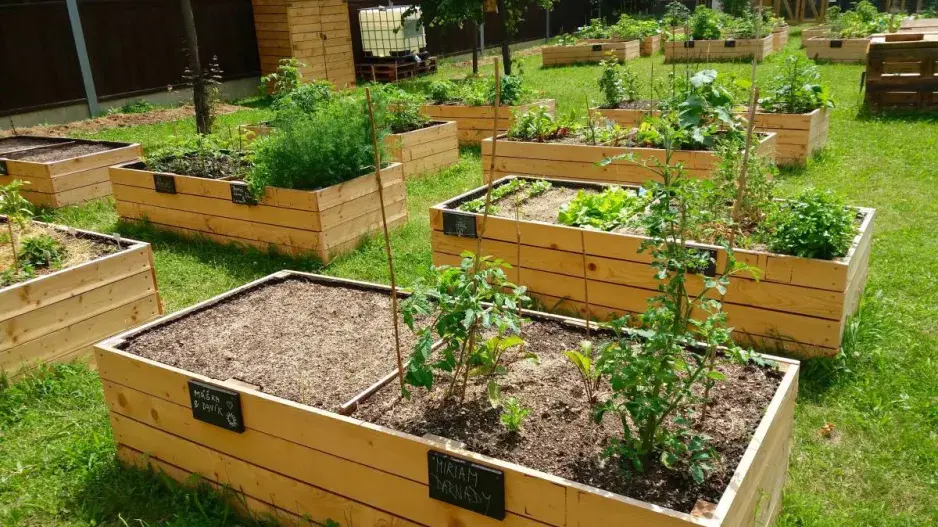 Zvýšené záhony v komunitní zahradě