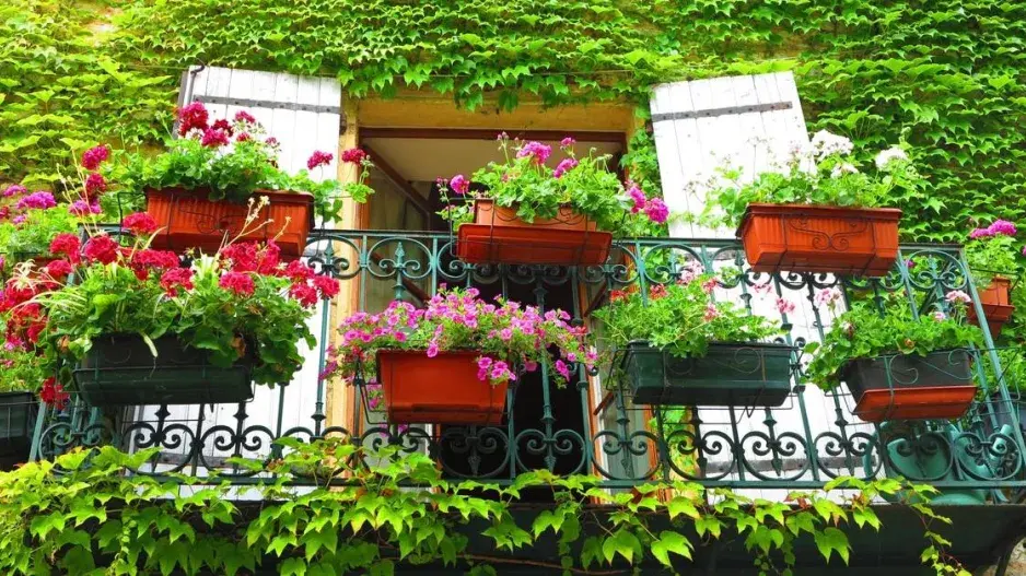 Balkon ověšený rozkvetlými truhlíky Balkon ověšený rozkvetlými truhlíky