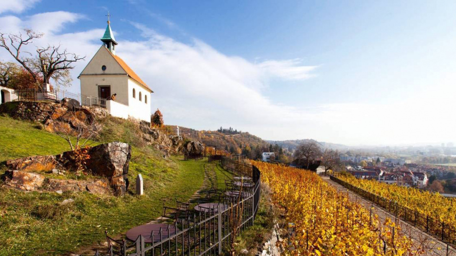 Vinice a kaple sv. Kláry