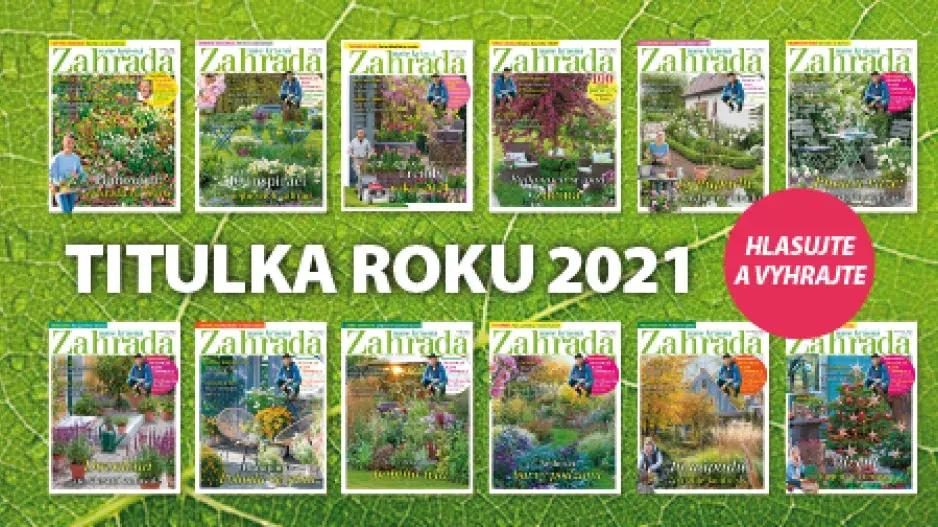 Soutěž Titulka roku 2021