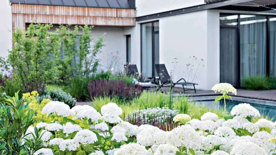 Rozkvetlé trvalky u bazénu