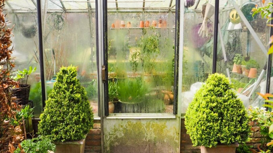 Přezimování rostlin ve skleníku