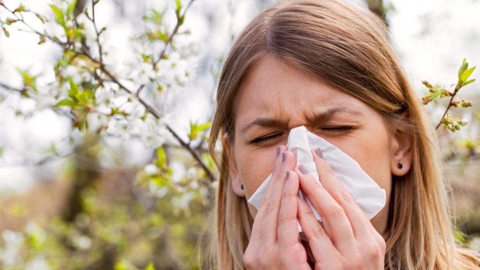 Rýma způsobená alergií