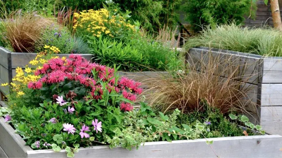 Truhlíky osázené okrasnými trávami a trvalkami