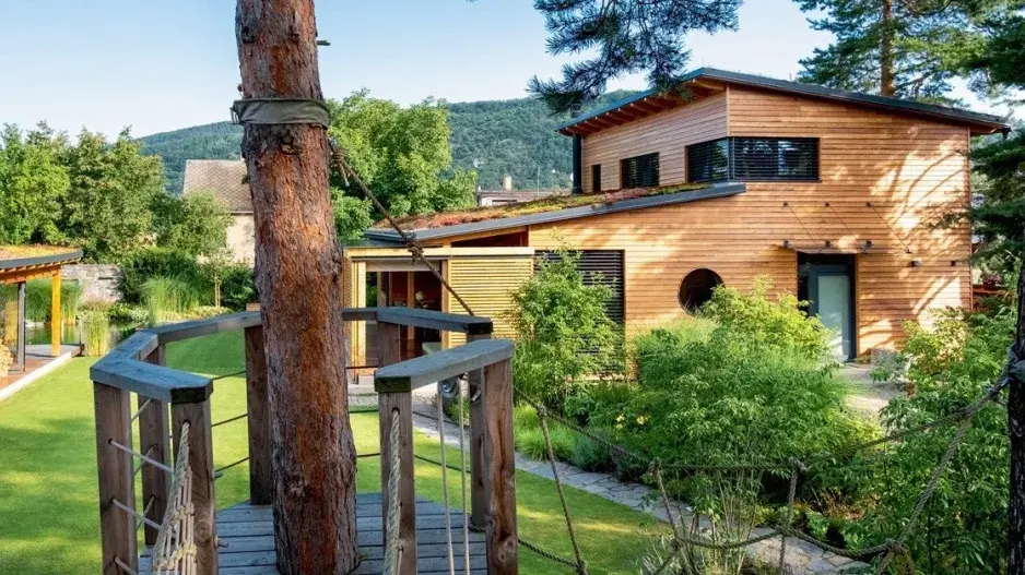 Dětská vyhlídka ze stromu