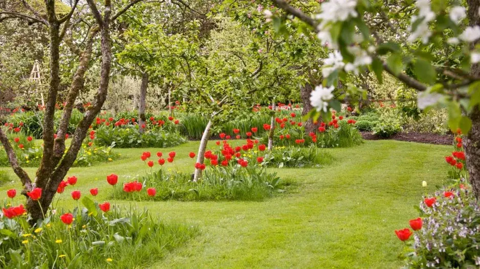 Trávník v jarní zahradě