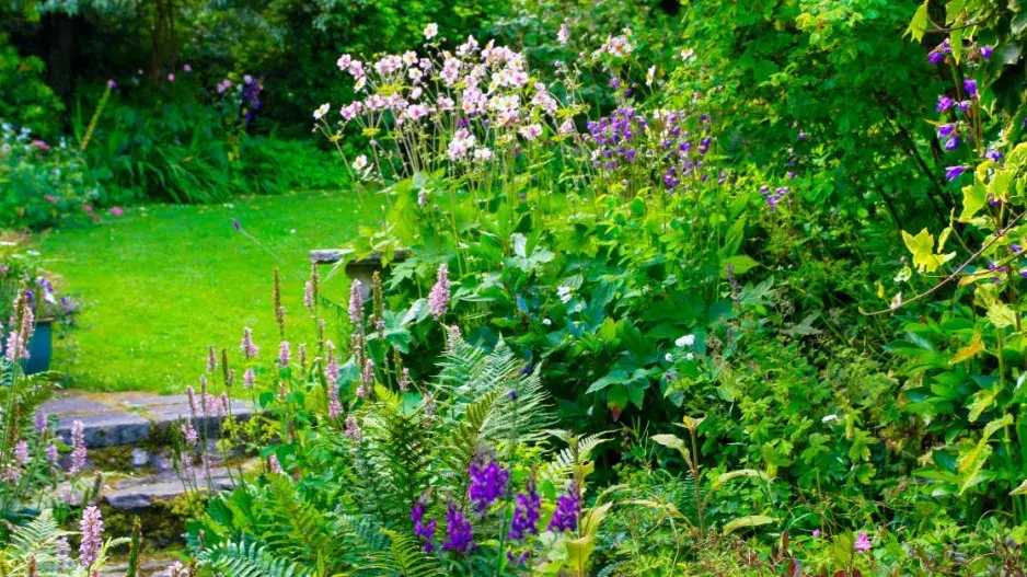 Okrasný záhon v polostínu