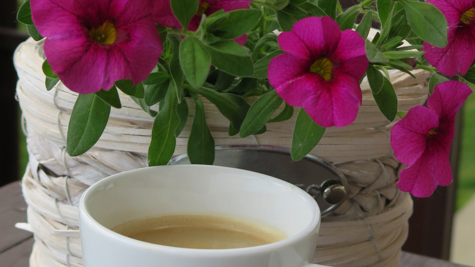 Odpolední káva v květinách