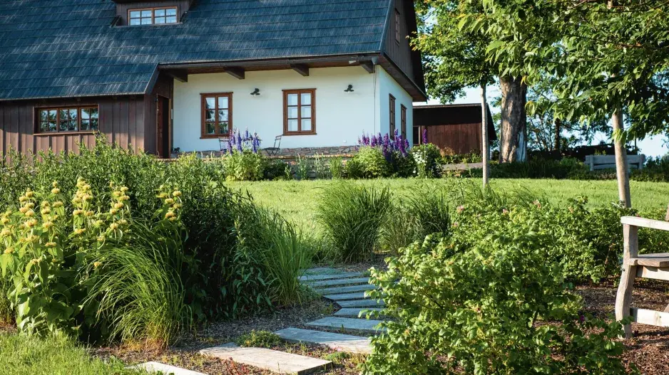 Mulčovaný záhon před chalupou Mulčovaný záhon před chalupou