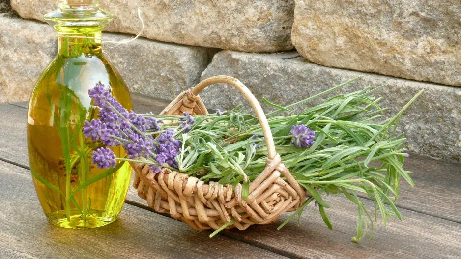 Domácí levandulový olej