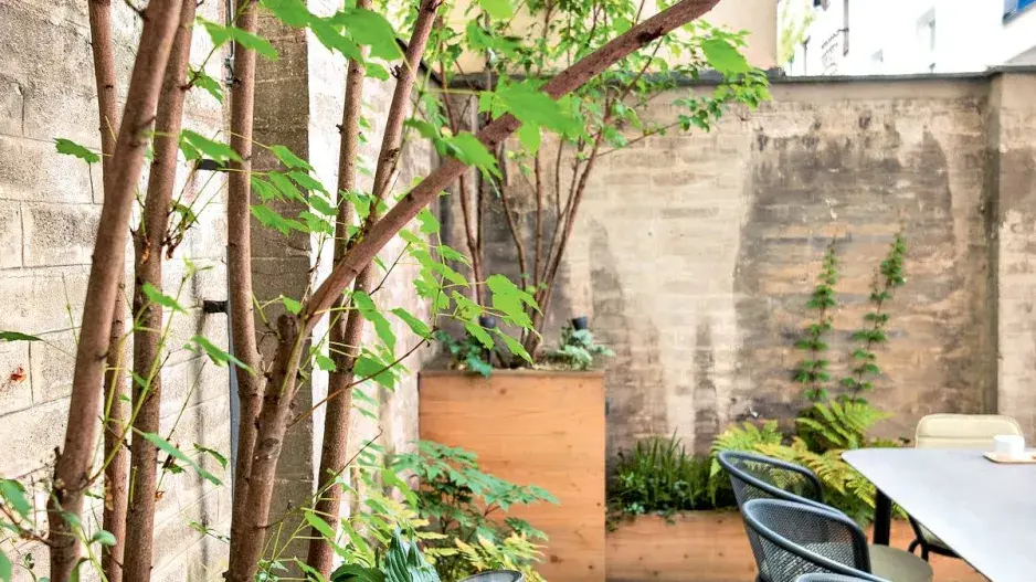 Velké dřevěné kvězináče pro keře a stromy Velké dřevěné kvězináče pro keře a stromy