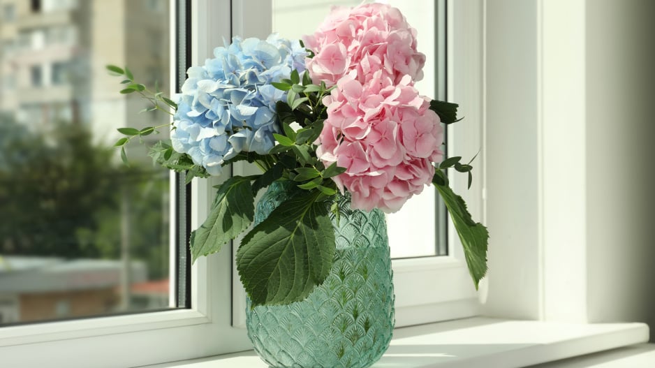 Hortenzie váza