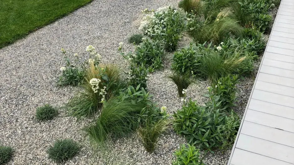 Voštinová cesta_úvodní