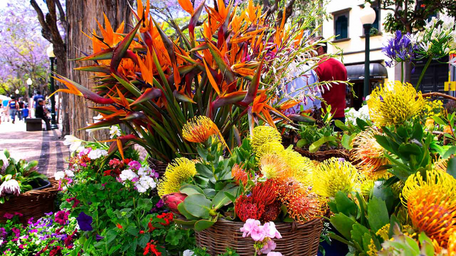 Květinový festival na Madeiře 