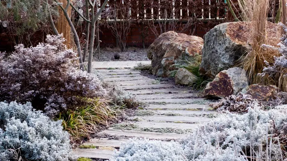 Cesta mezi záhony Cesta mezi záhony