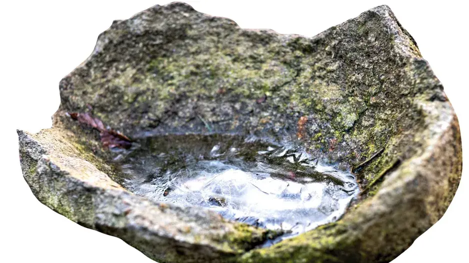 Kamenné ptačí pítko Kamenné ptačí pítko