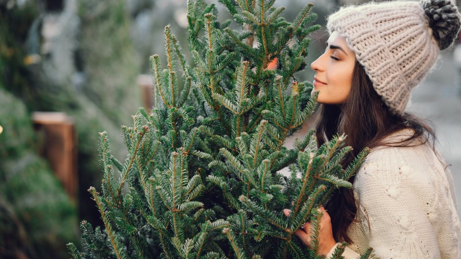 Dívka s vánočním stromkem
